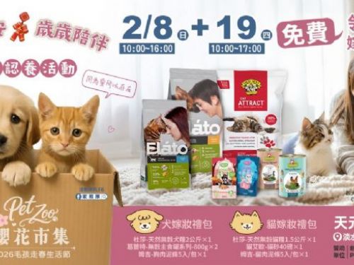 新春走春遇見幸福 「Lucky！幸運毛寶認養會」在淡水櫻花樹下，把好運與愛一起帶回家